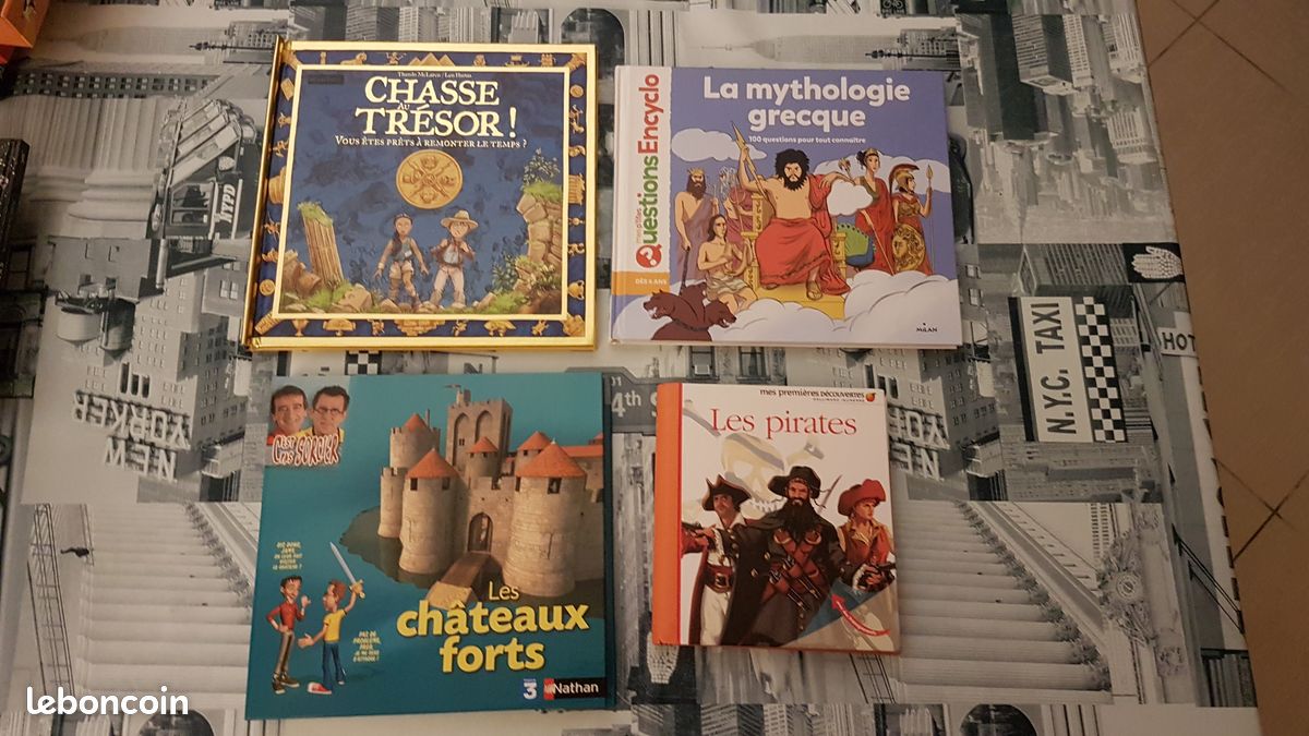 6 livres Grande Imagerie/Encyclo/C'est pas sorcier/Découverte (Pirates, Vikings, Châteaux Forts...) (image 2)