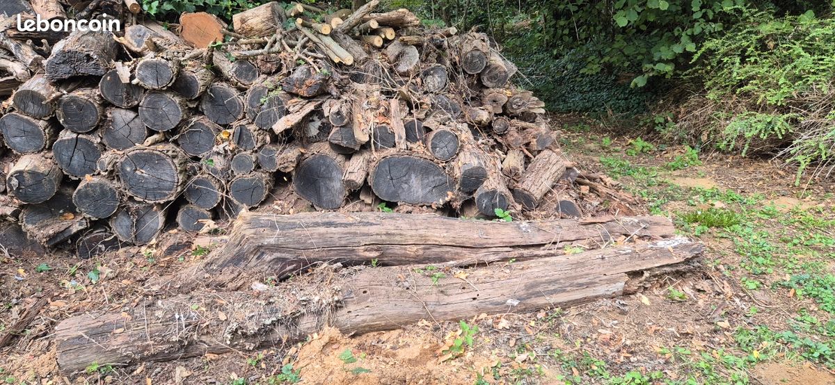 Bois chauffage (image 4)