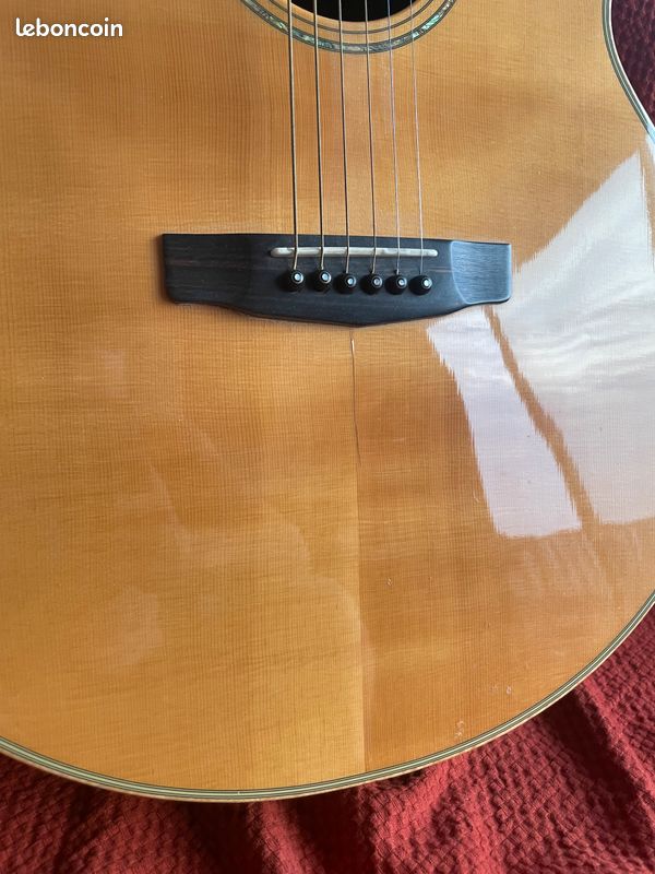 Guitare Folk Acoustique Cort Custom Jumbo (type Martin) - Palissandre Massif (image 11)