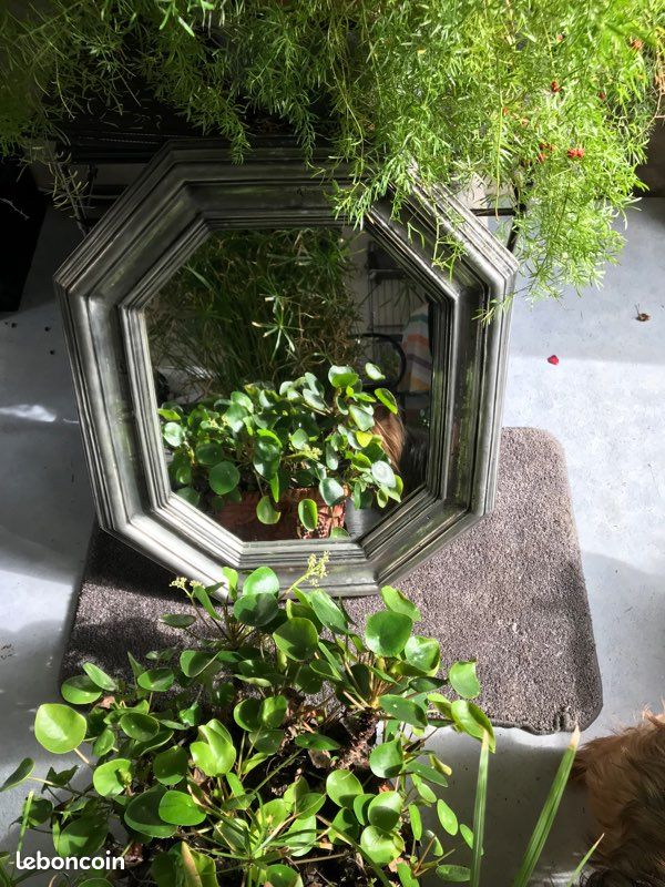 Miroir ancien en étain 65cmx55cm (image 10)