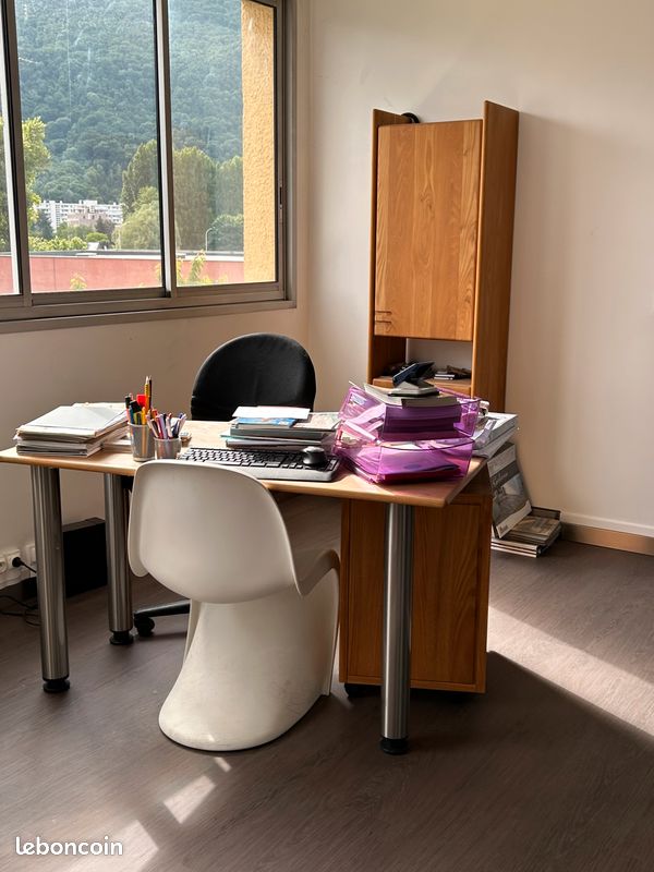 Orme massif bureau (image 3)