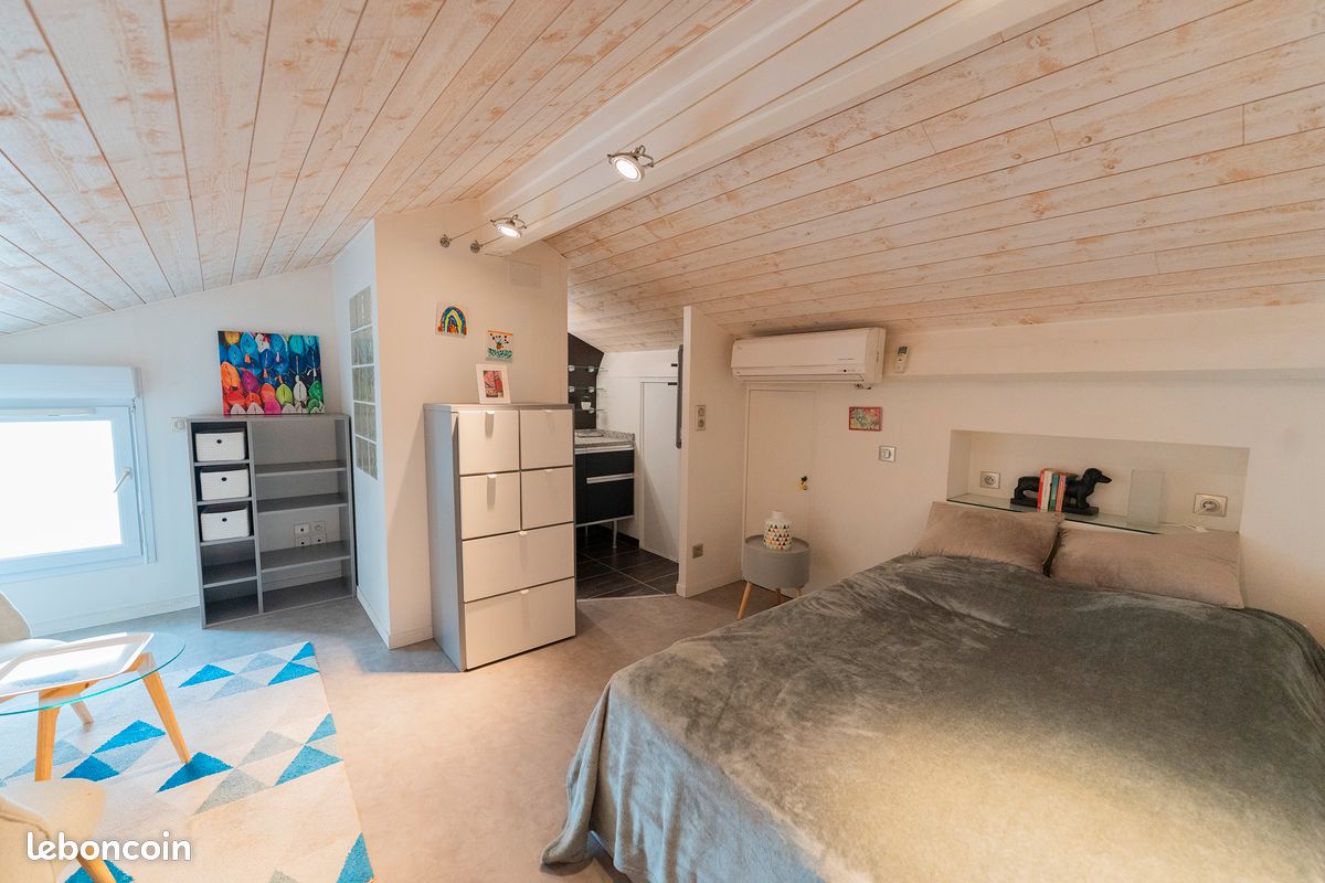 MAISON DE CARACTÈRE 200 m² + LOGEMENT INDÉPENDANT 55 m² + PISCINE COUVERTE- Creysse, proche BERGERAC (image 14)