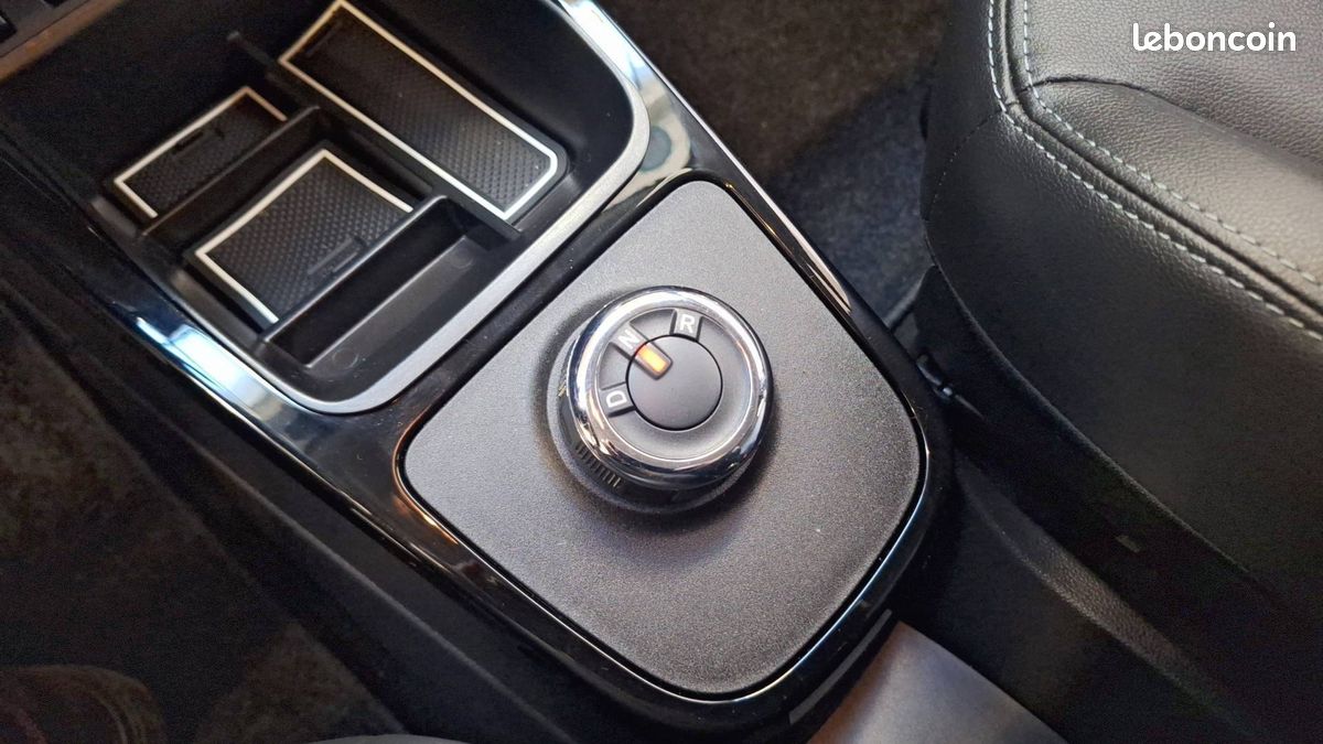 Dacia spring expression (image 14)