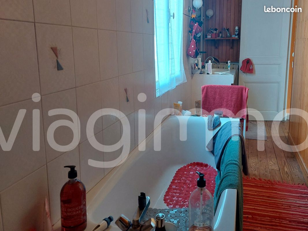 Maison en viager 4 pièces 95 m² - Saint-Michel 16470 (image principale 3)