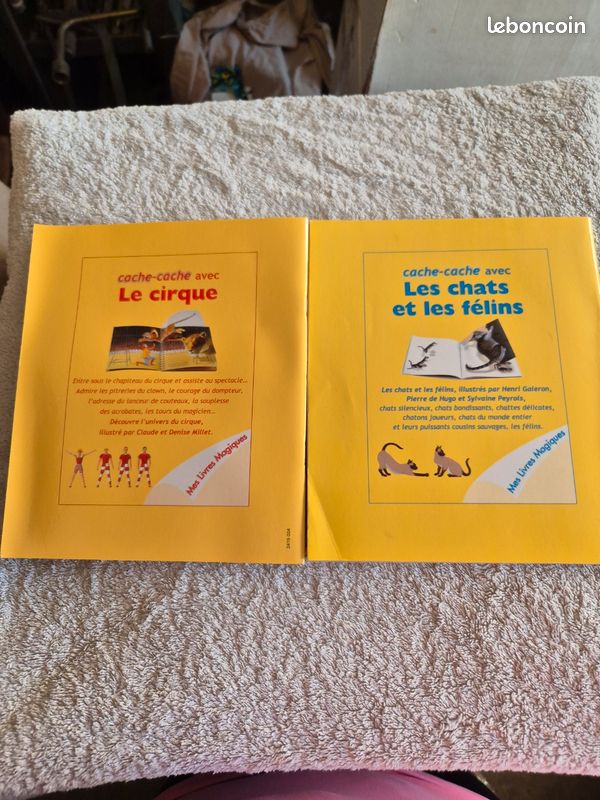 Livre enfant (image 2)