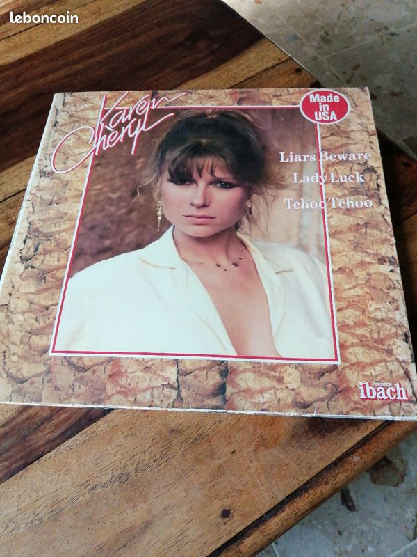 Vinyle 33 tour (image 1)