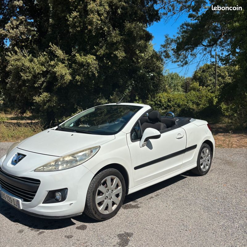 207cc (image 2)
