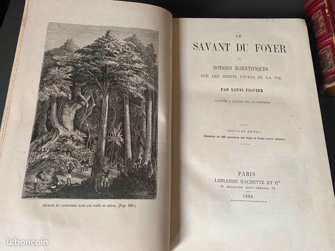 Figuier, La Terre Et La Mer - Hachette 1864 - Relié, Illustré, Sciences