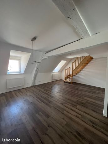 F3 de 80 m² ave terrasse - Centre ville
