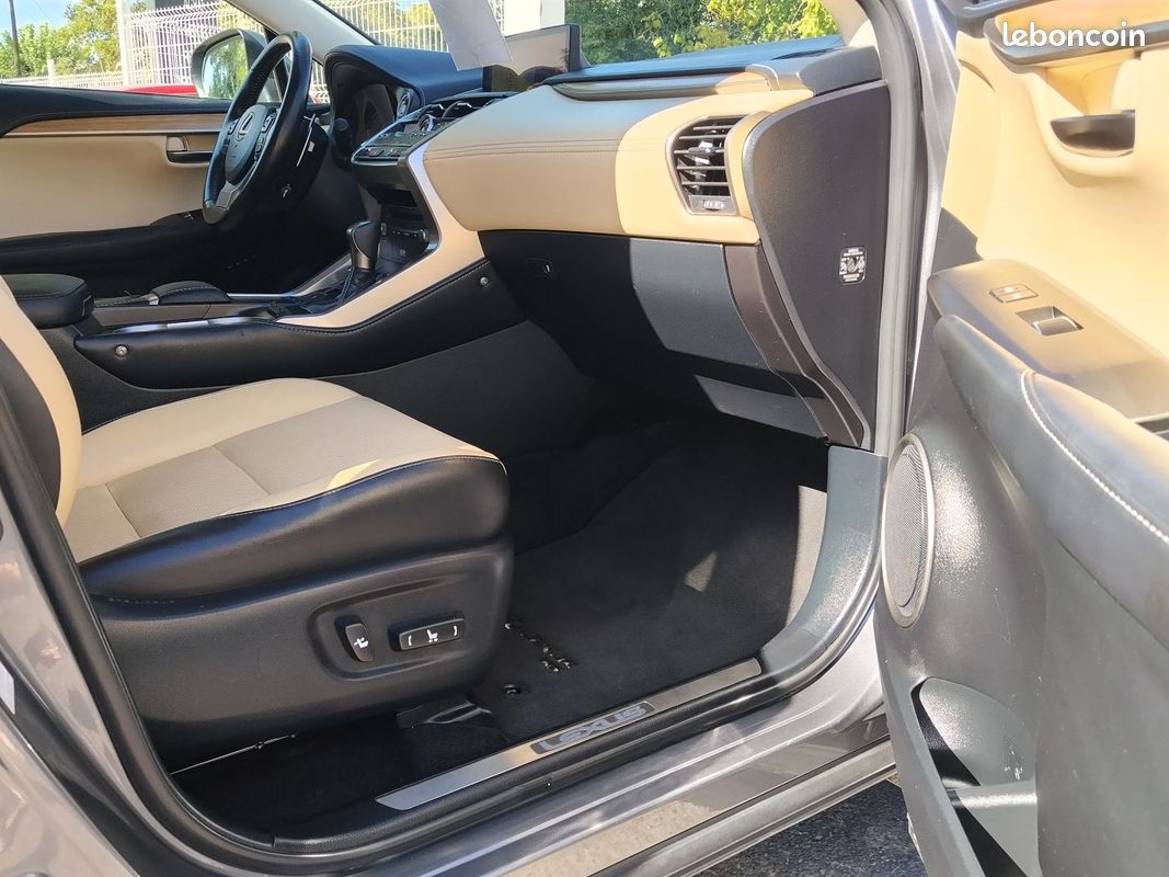 Lexus NX 300H 4WD LUXE (image 10)
