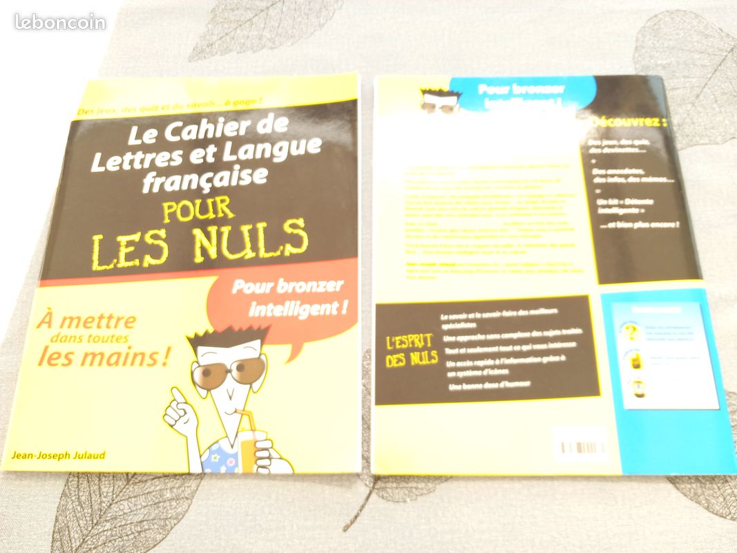 Pour les nuls (image 2)