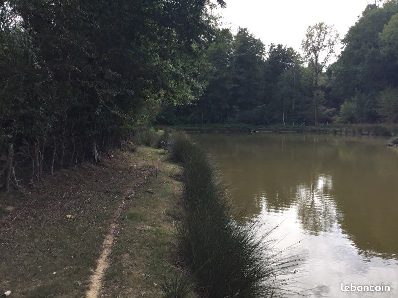 Terrain avec étang · à Rives-du-Fougerais · 28 500 €