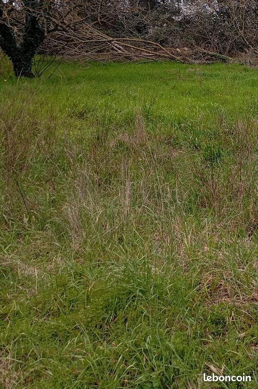 Terrain agricole loisirs (image 1)