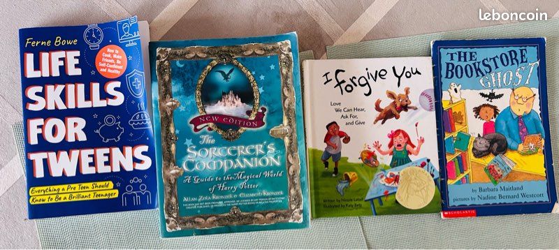 Lot livres enfants en anglais – apprentissage & lecture (image 1)