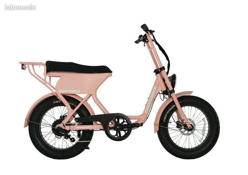 Vélo électrique biplace Grandeux Xcite Pro – Batterie 720 Wh – Fatbike / Engwe / YUVY / RITMIC / GAYA⁠⁮⁮⁯‍⁮⁪⁯⁪‌⁪⁬⁢⁫⁮ (image 4)