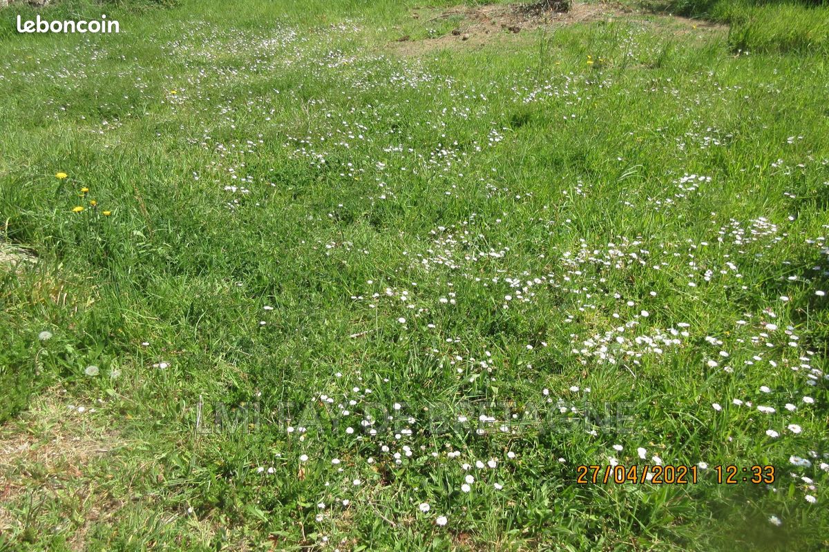 Terrain Blain · 49 450 €
