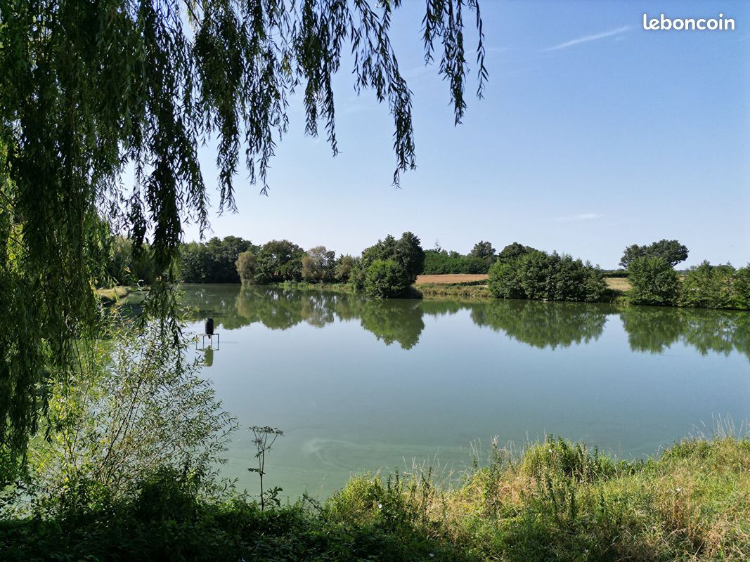 Terrain 17000 m² · à Saint-Martin-en-Bresse · 17 000 m² · 96 000 €