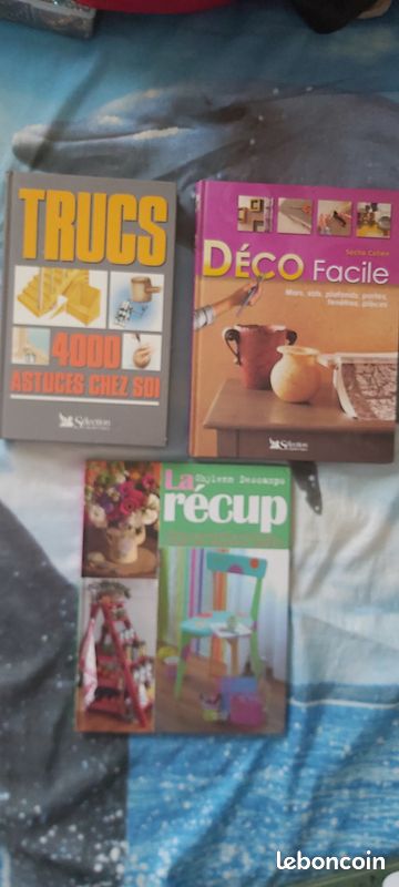 Lot 3 livres bricolages et astuces (image 1)