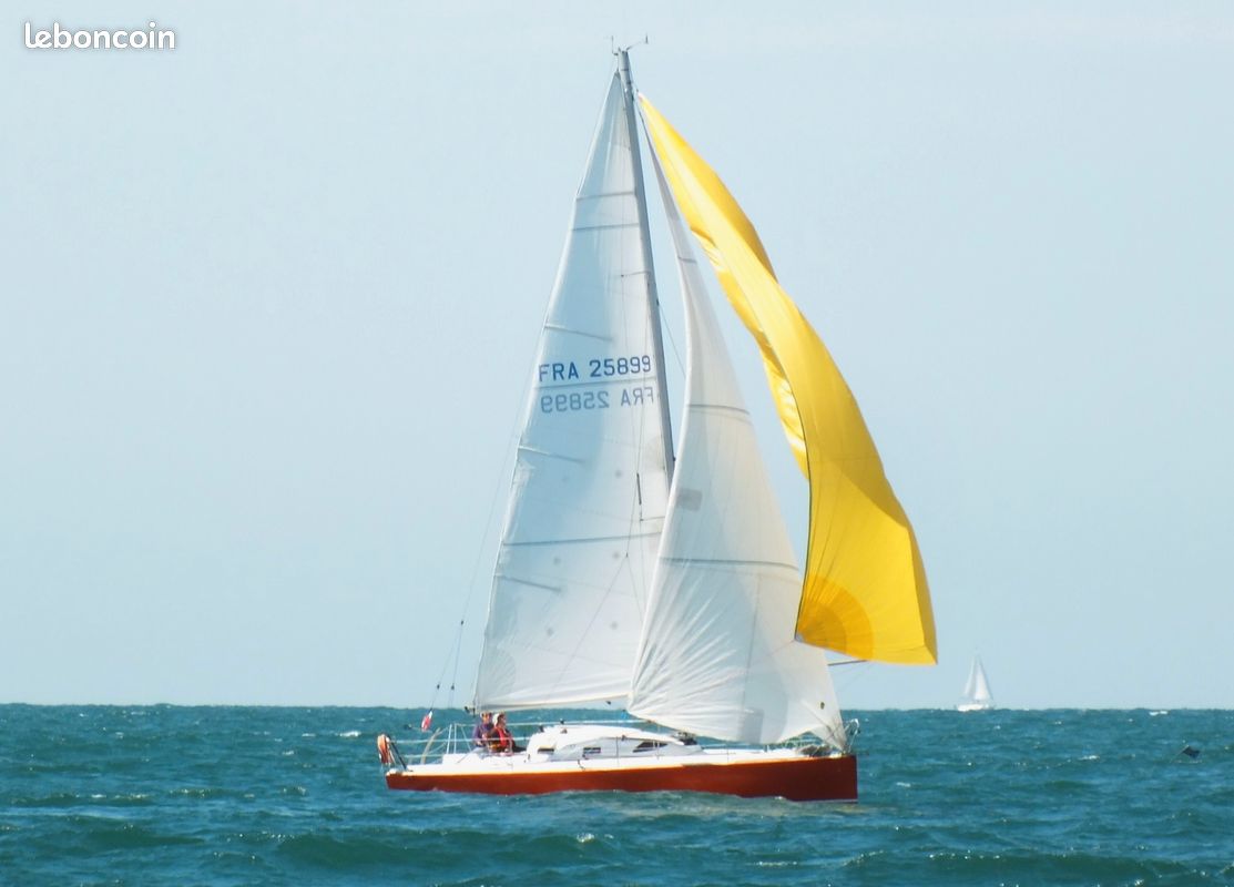 Pogo 850 — Vedi foto 1