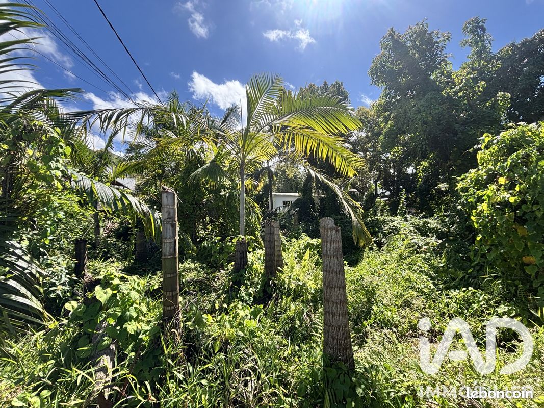 Terrain 565 m² · à Petite-Île · 565 m² · 140 000 €