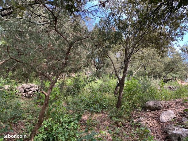 Terrain 1 500 m² Flassans Sur Issole