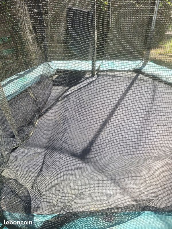 Trampoline 2m de diamètre (image 2)