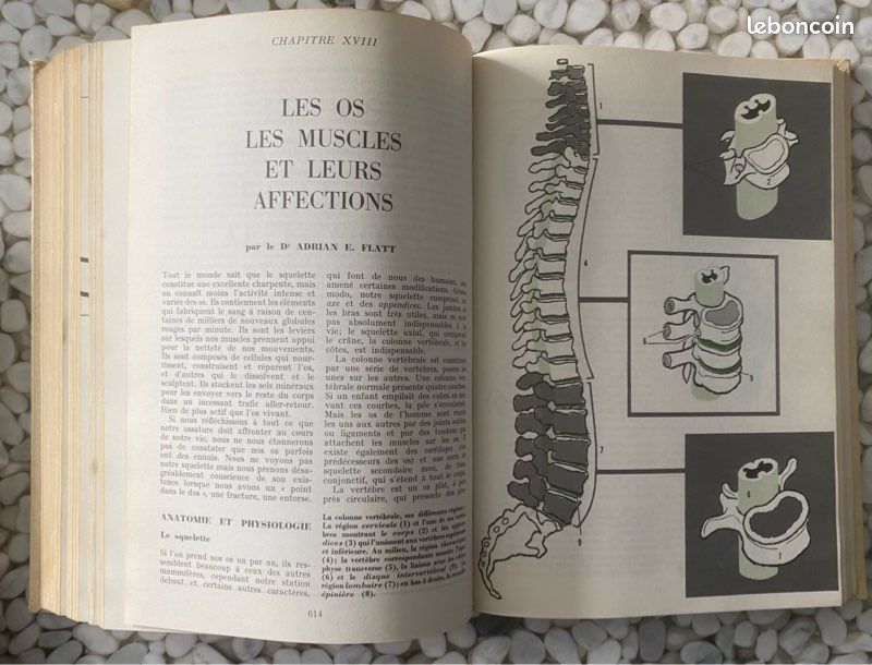 Guide Médical de la Famille, D.G Cooley, 1973 (image 8)