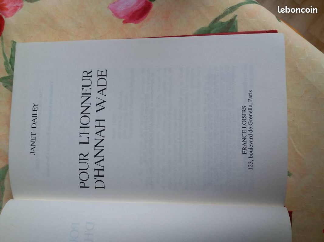 Pour l'honneur de hannah wade (image 2)