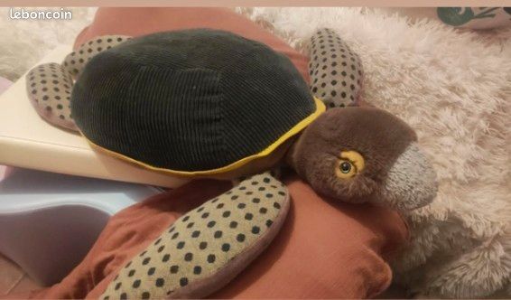 Tortue moulin roty tout autour du monde (image 1)