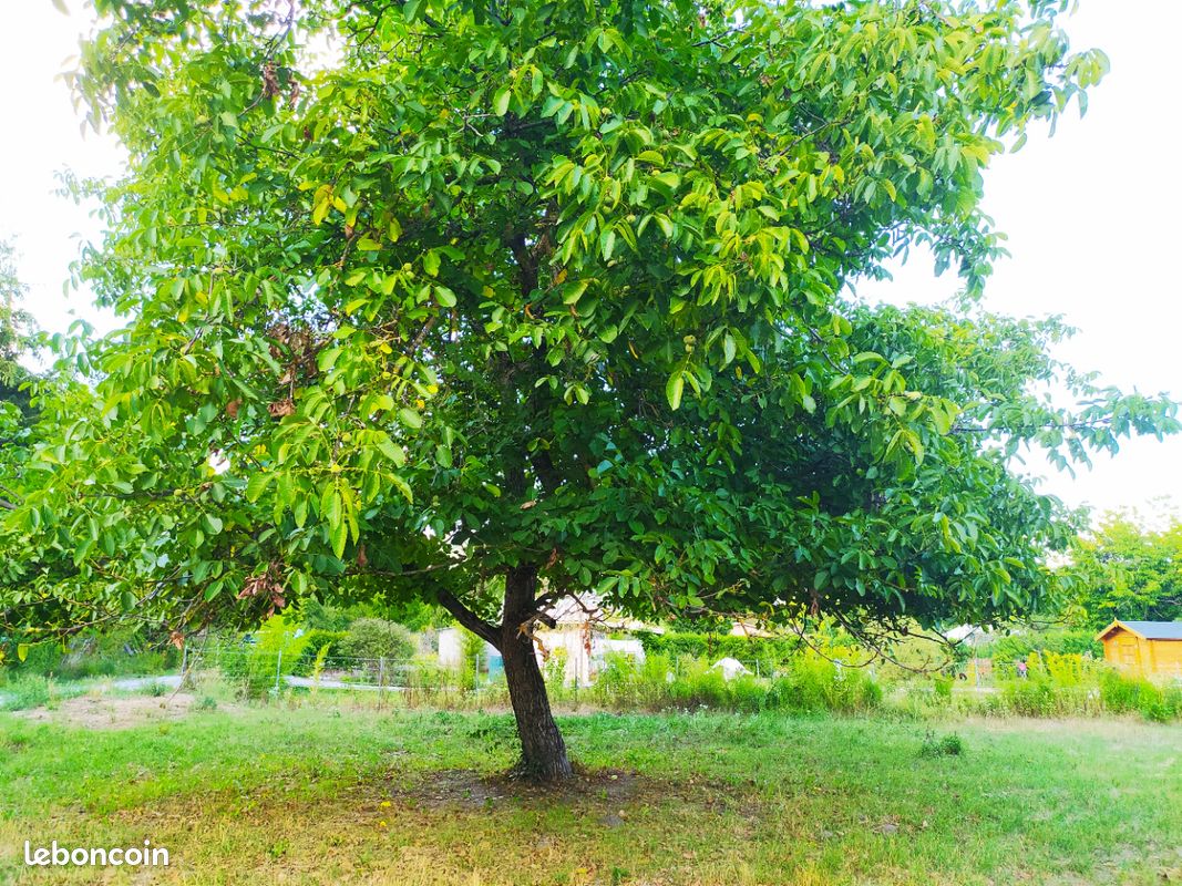 Terrain 630 m² · à Tallard · 22 000 €
