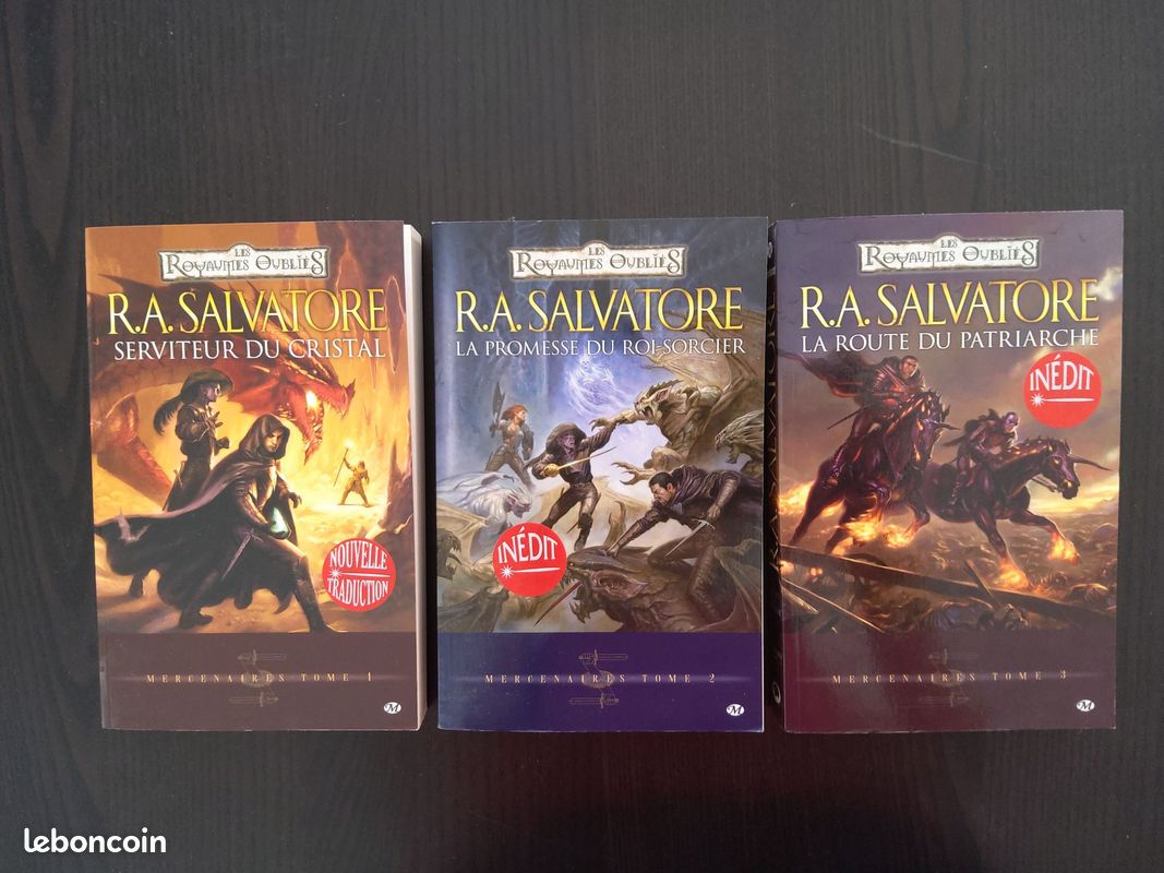 Trilogie Royaumes Oubliés (image 1)