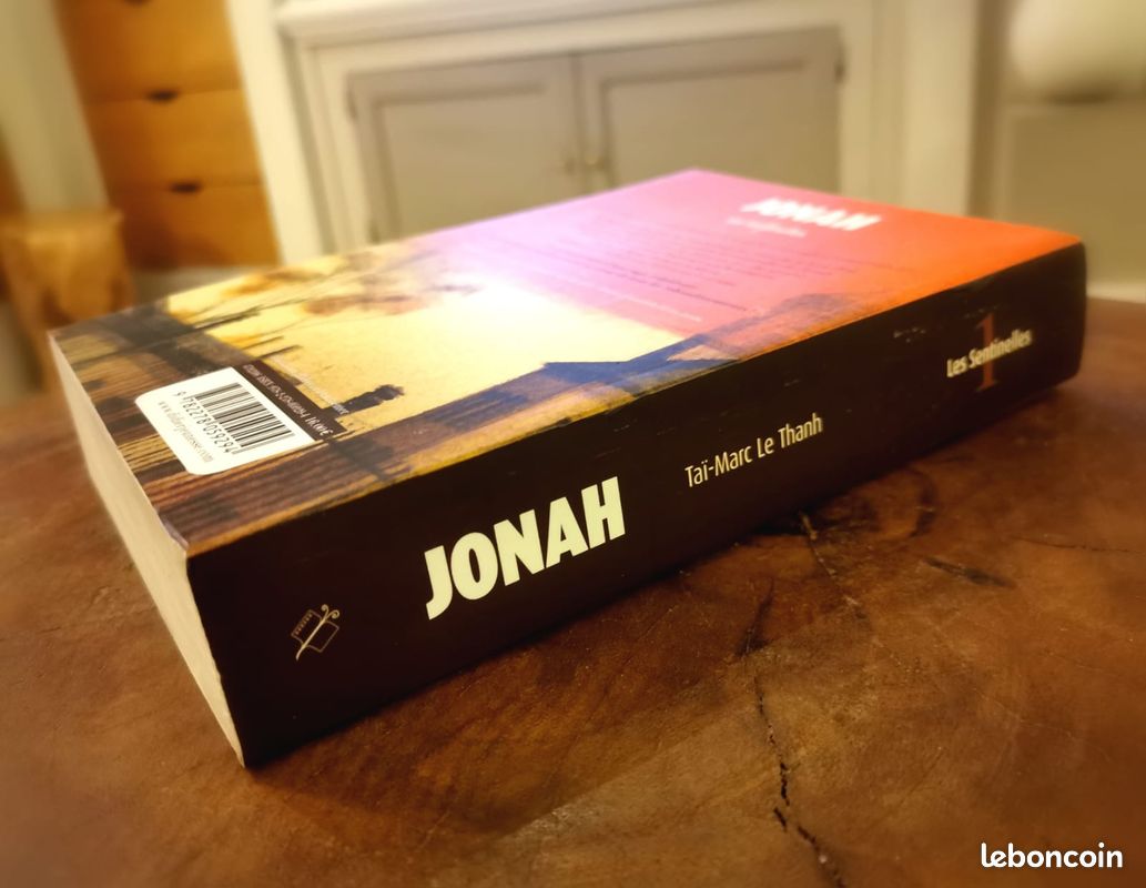 3 beaux romans pour jeunes filles: Jonah, Rose et la princesse disparue, Les ailes d'émeraude (image 10)