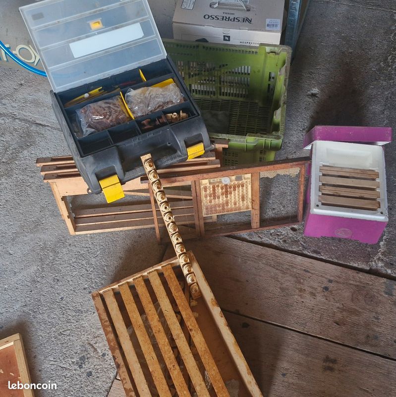 Matériel élevage de reines apiculture (image 2)