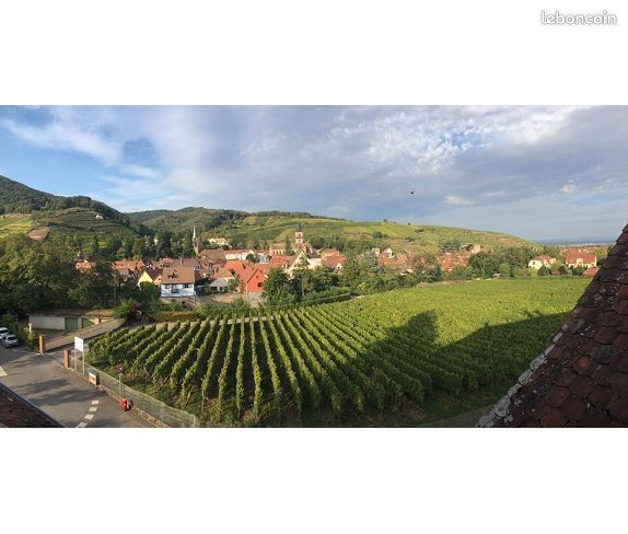 Appartement 3 pièces 75 m² · à Ribeauvillé · 75 m² · 660 €/mois