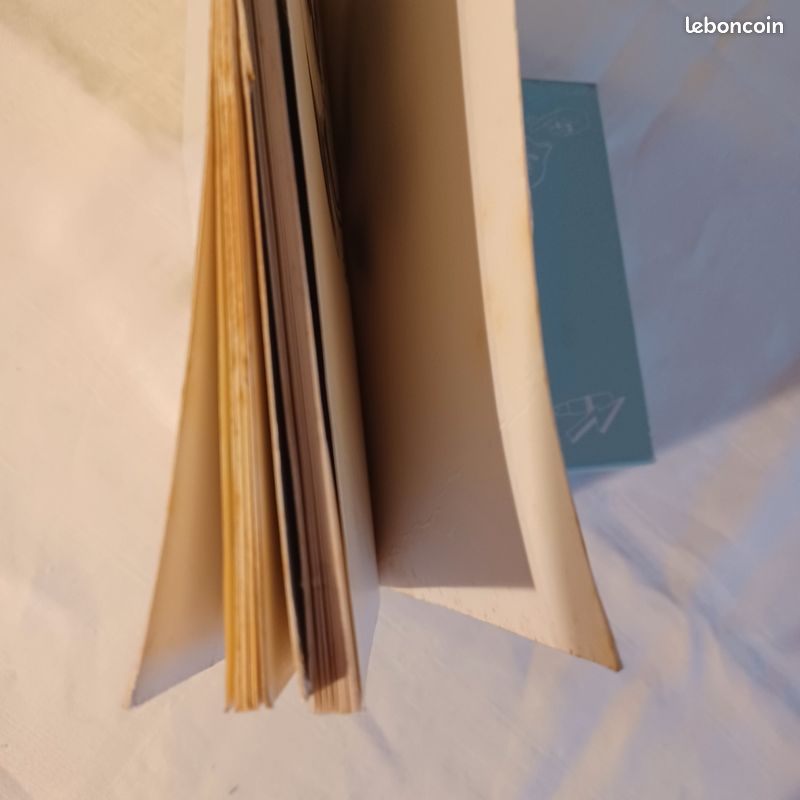 Lot de 2 bds de Loro T1/T2 Thorkaël (image 19)