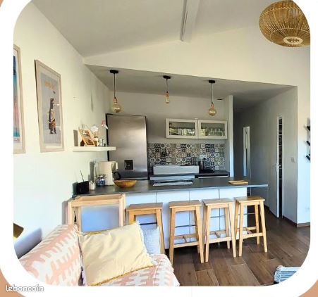 Location maison meublée mimizan plage - Mimizan 40200 (image 3)