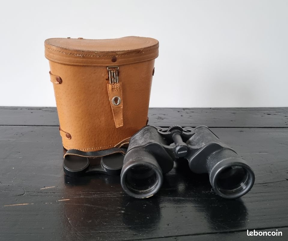 Ancienne Paire De Jumelles à Identifier - Générique, état Fonctionnel