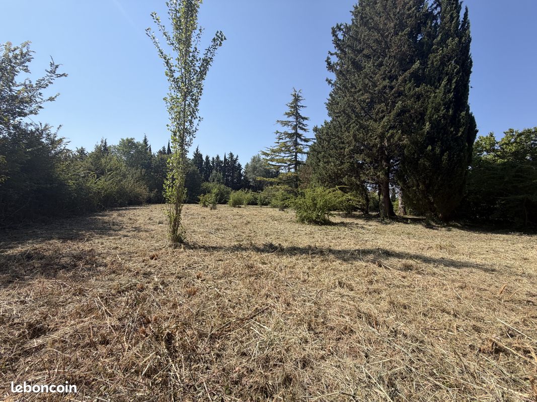 Mas 6 pièces 184 m² (image 30)