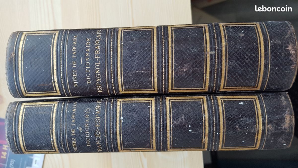Dictionnaire français espagnol et espagnol français (image 1)
