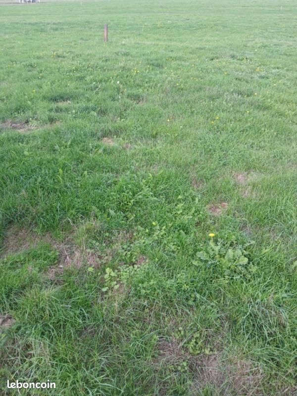 Terrain 800 m² Chepy · à Chépy · 43 500 €