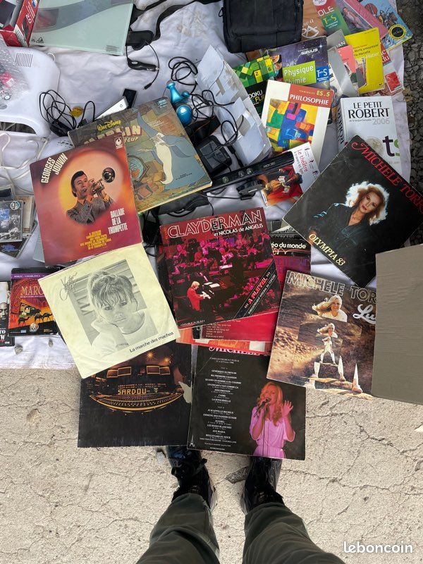 Vinyles (Sardou, Michèle torr, Disney…) (image 1)