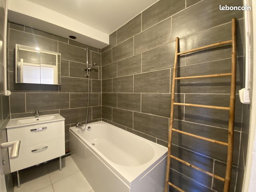 Appartement 1 pièce 36 m² · à Saint-Nicolas-de-Port · 36 m² · 480 €