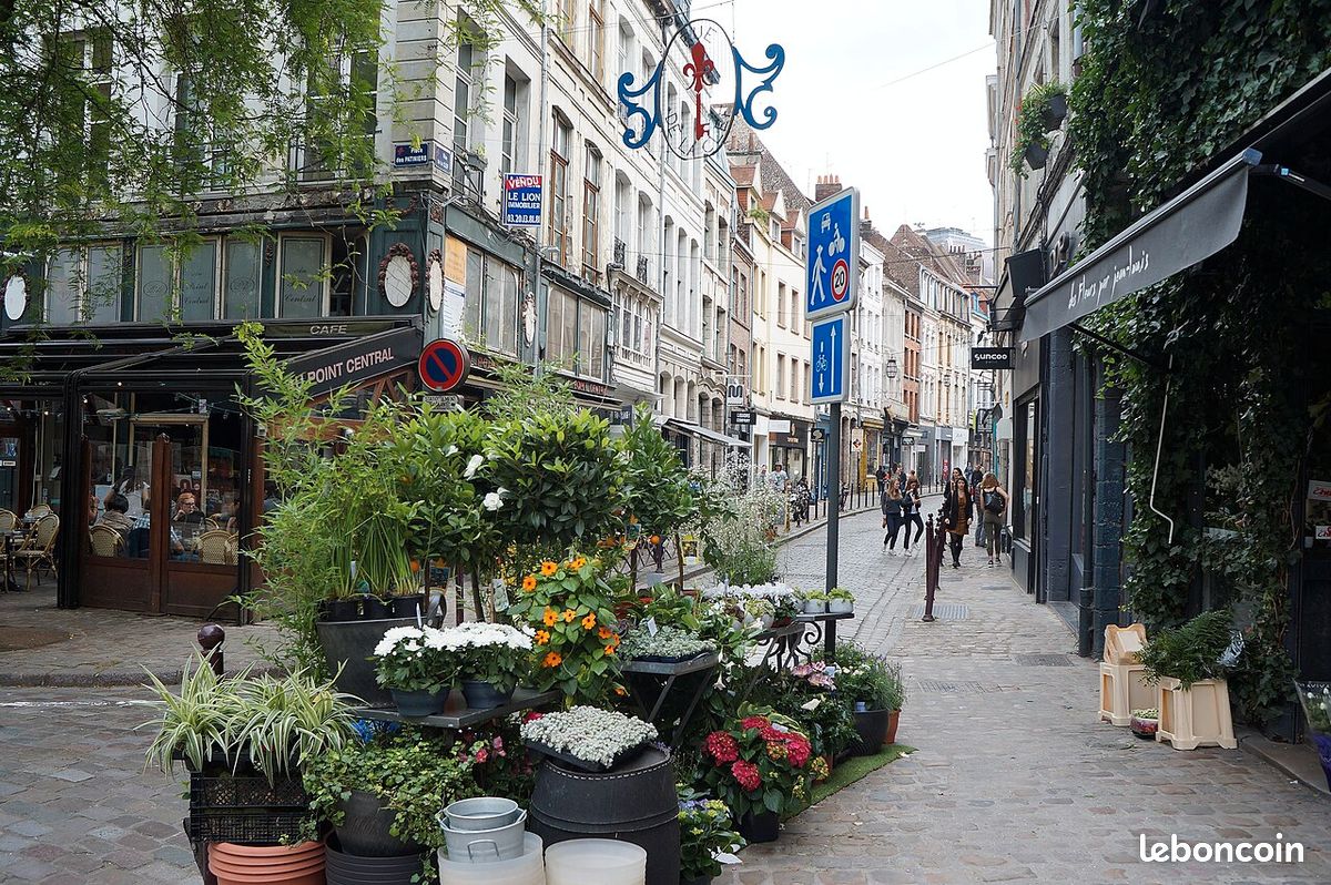 Appartement 3 pièces 46 m² · à Lille · 46 m² · 1 250 €/mois