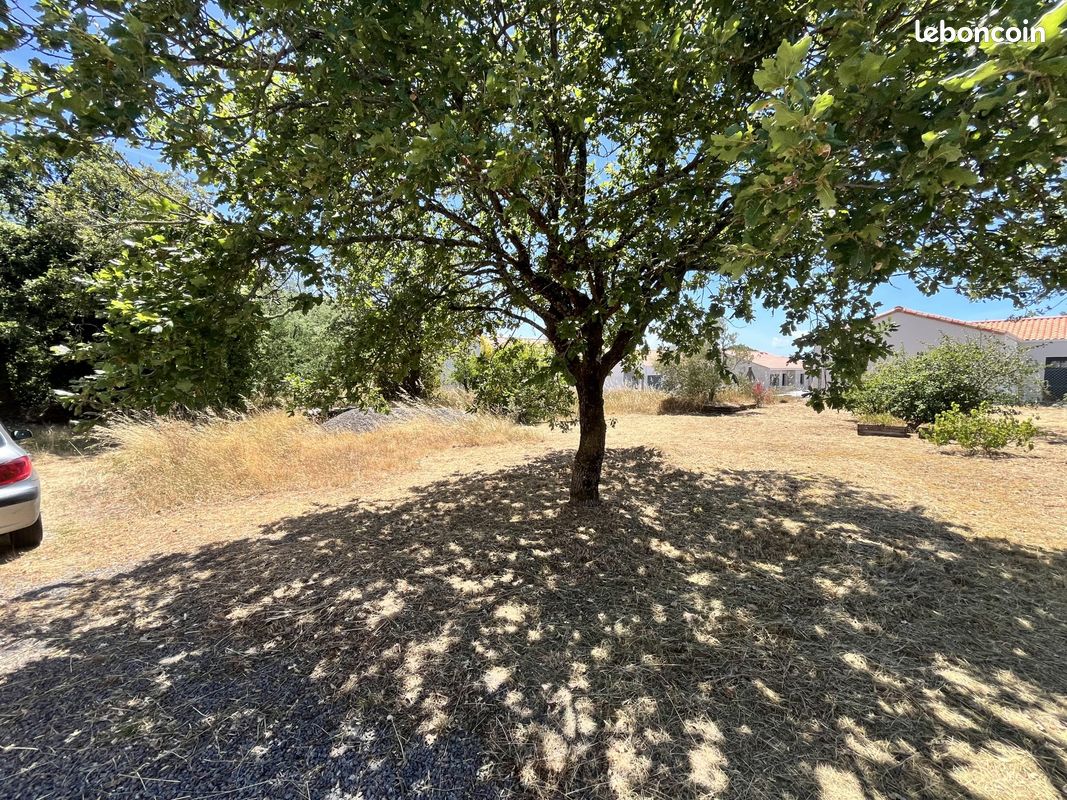 Maison 3 pièces 71 m² · à Brem-sur-Mer · 71 m² · 258 500 €