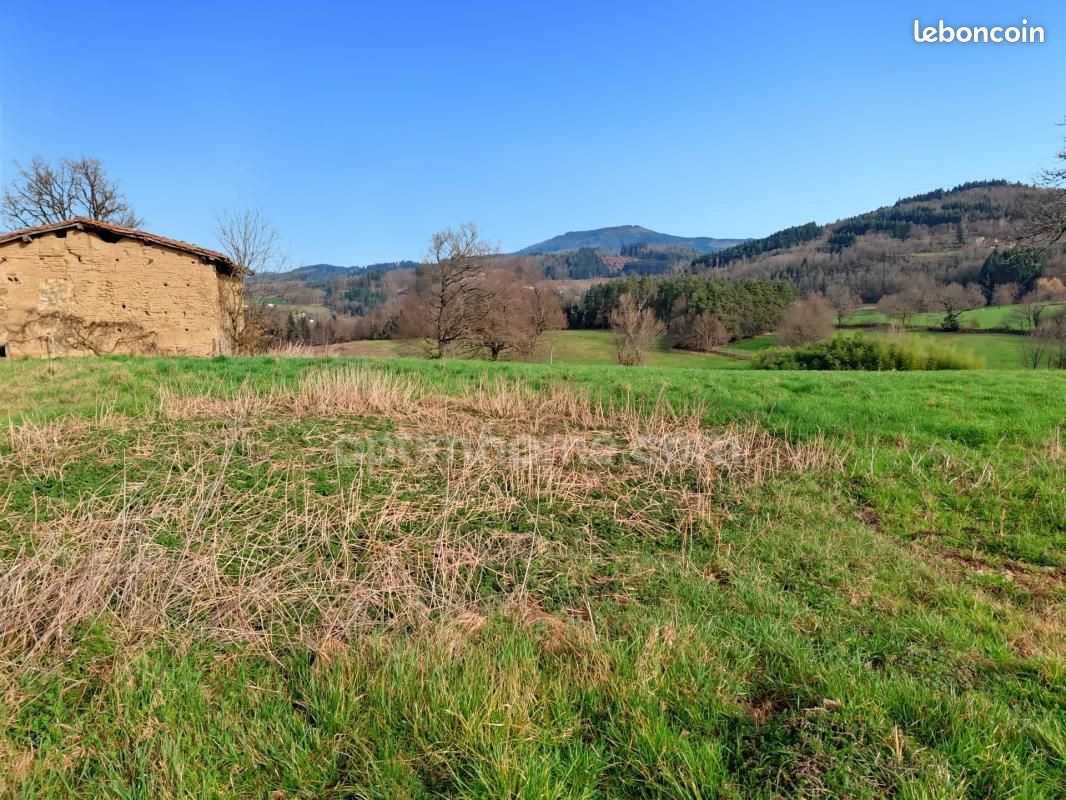 Terrain 2 975 m² Augerolles (image 4)