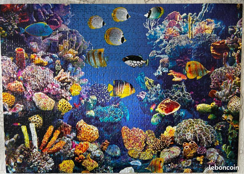 Puzzle 1000 pièces (image 1)