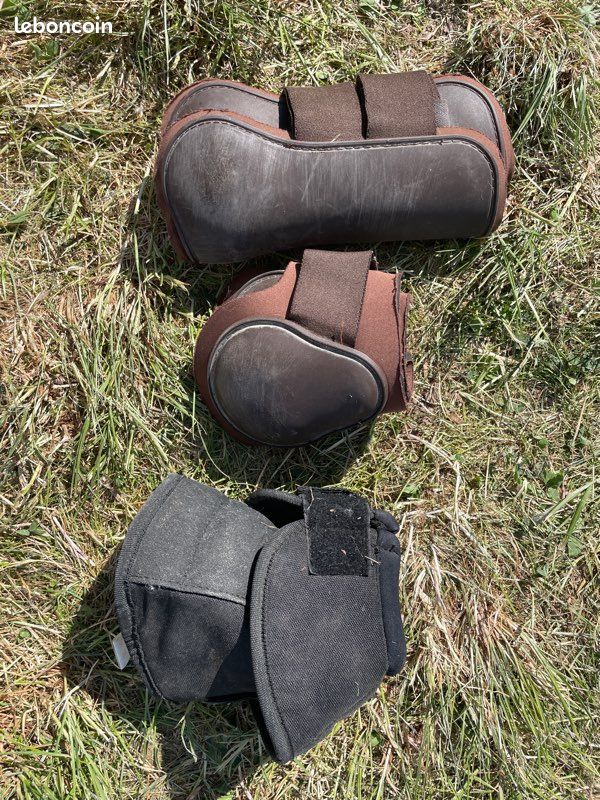 Lot protections cheval (image 2)