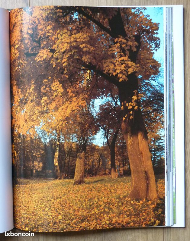 Polska Dwory, dvorky, palaces / POLAND, Manors and Country Houses (image 4)