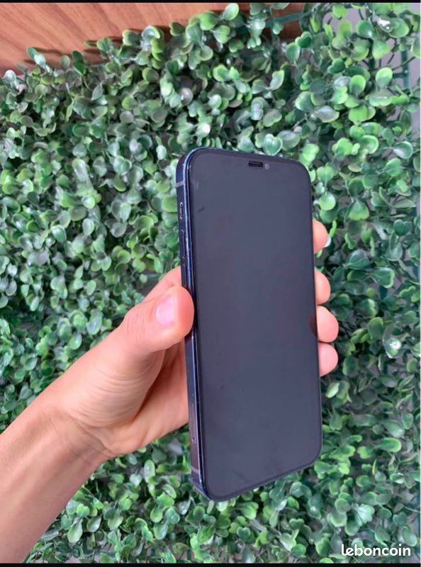 IPhone 12 (image 2)