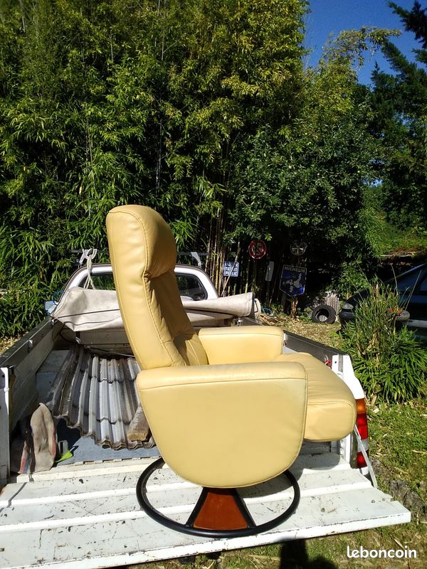 Fauteuil Cuir tournant et basculant (image 1)